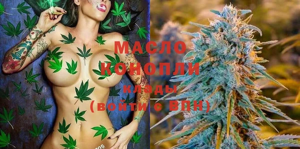 индика Баксан