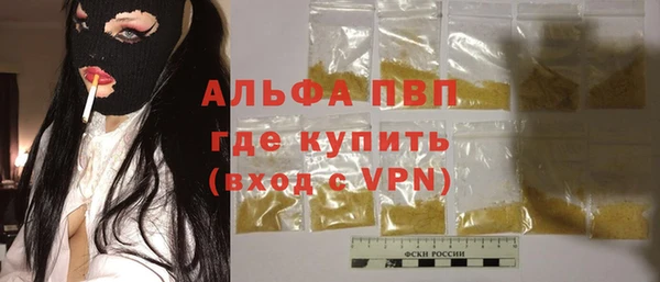 индика Баксан