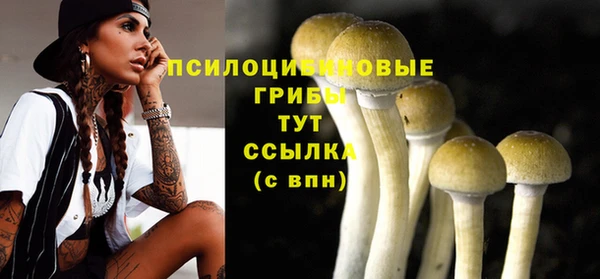 мескалин Балахна