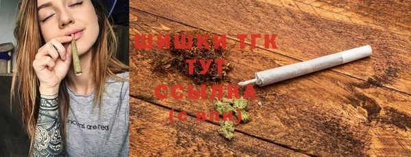 индика Баксан