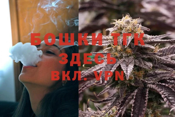 индика Баксан