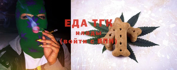 индика Баксан