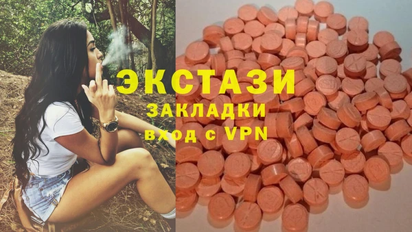 индика Баксан