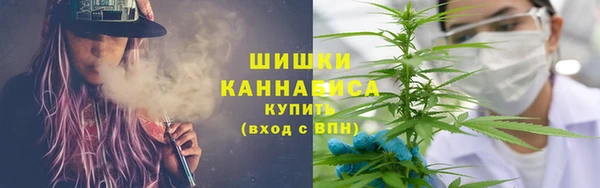 индика Баксан