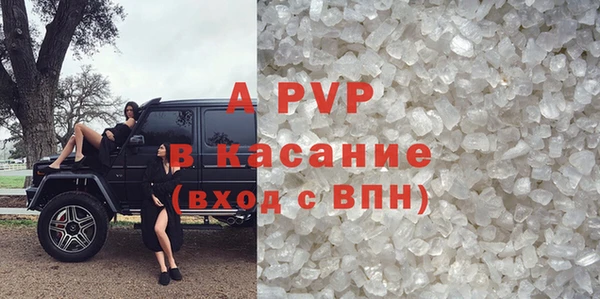 индика Баксан