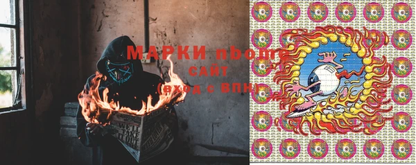 индика Баксан