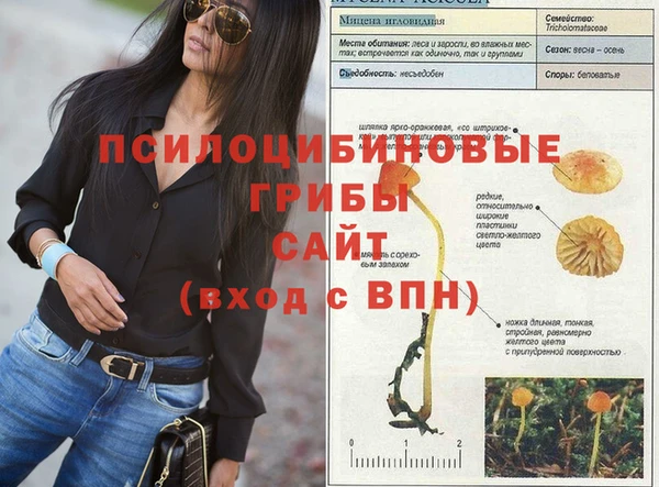 мескалин Балахна