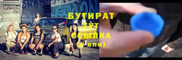 индика Баксан