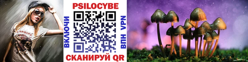 Купить закладки  Надым  Псилоцибиновые грибы MAGIC MUSHROOMS 
